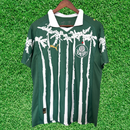 Camisa Palmeiras Edição Fan 25/26 Torcedor
