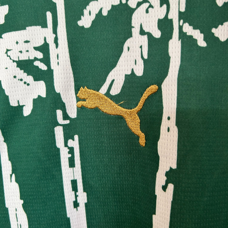 Camisa Palmeiras Edição Fan 25/26 Torcedor