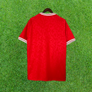 Camisa Dinamarca I 2024 Torcedor