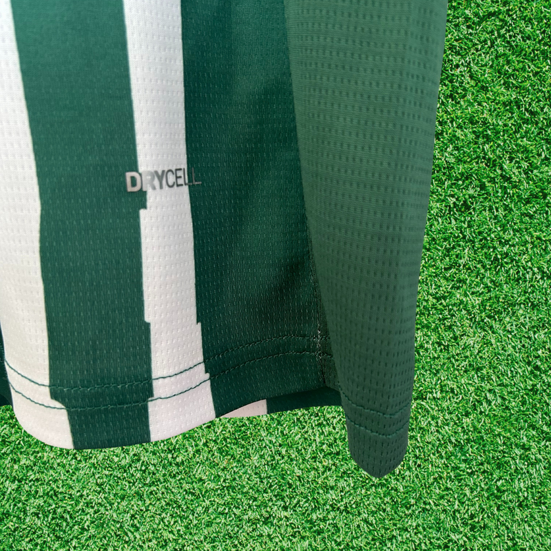 Camisa Palmeiras Edição Fan 25/26 Torcedor
