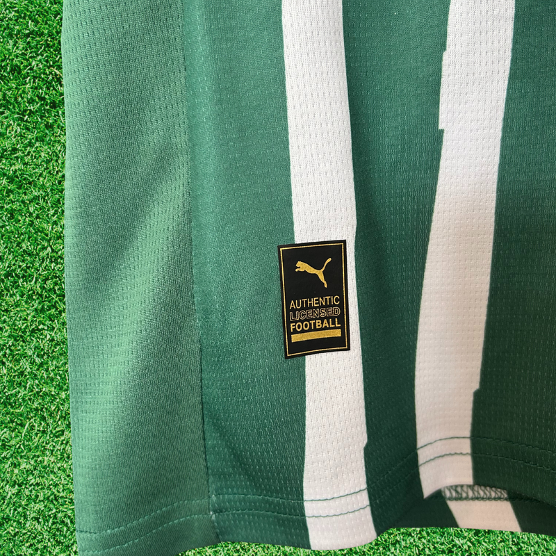 Camisa Palmeiras Edição Fan 25/26 Torcedor