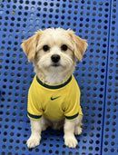 Camisa PET Seleção Brasileira 2026