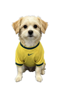 Camisa PET Seleção Brasileira 2026