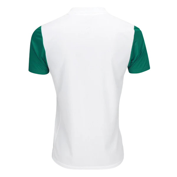 Camisa Palmeiras ll 2025/26 Torcedor