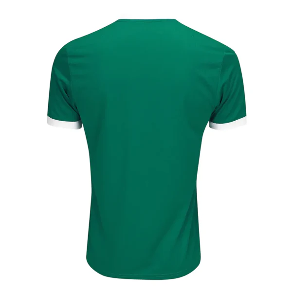 Camisa Palmeiras l 2025/26 Torcedor
