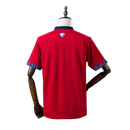 Camisa Bahia Goleiro 2025/26 Vermelho